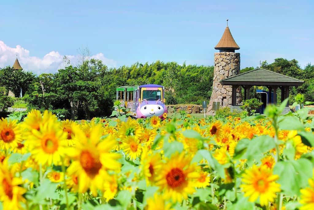 🌳 아와지 팜 파크 잉글랜드 힐 이미지 6